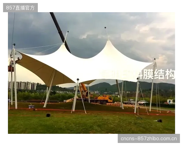 小型体育场馆是否真的需要最高抗冲击等级的PTFE膜材？我们是否在为无需的性能校准支付额外费用？